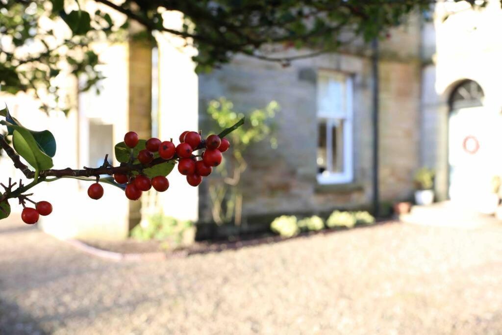 Edenfield House, Springfield, Fife Villa Cupar Exterior photo
